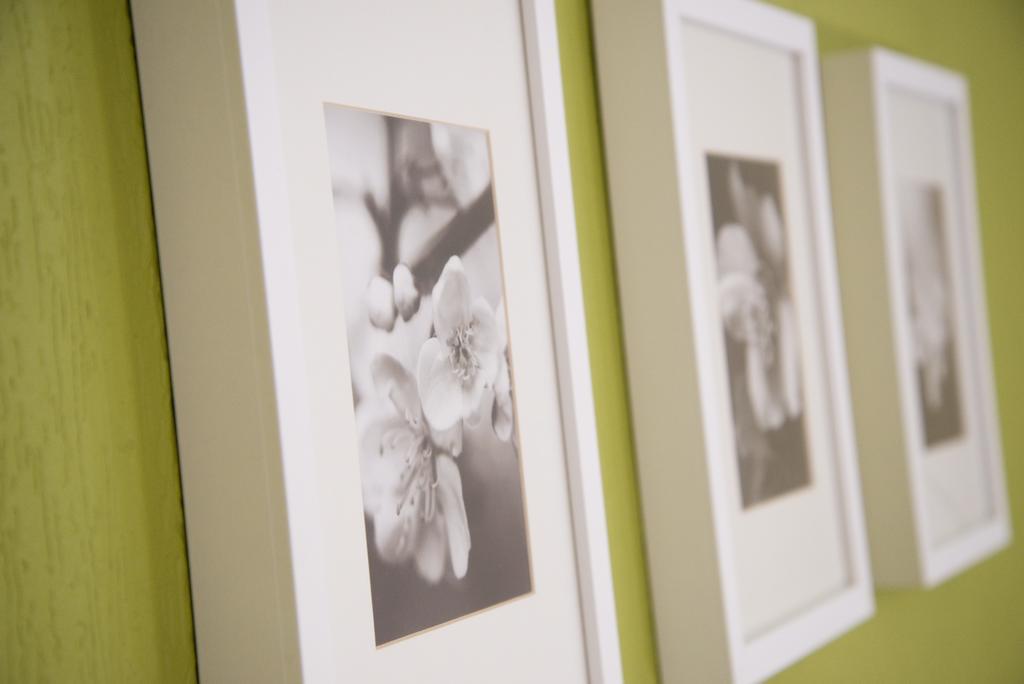 B&B Bloemenweelde Genk Room photo